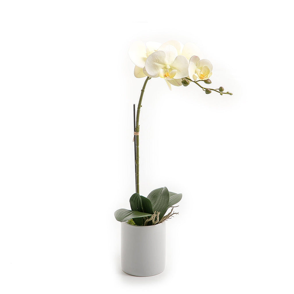 Artificial orchid