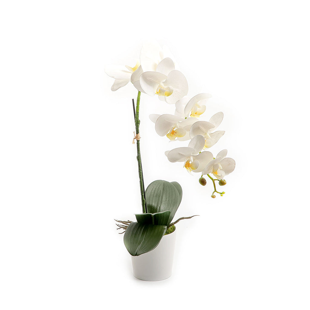 Artificial orchid