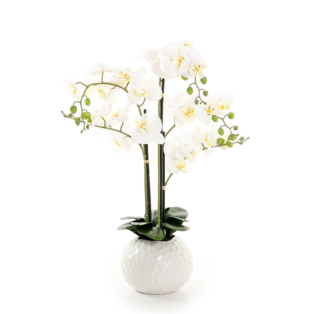 Artificial orchid