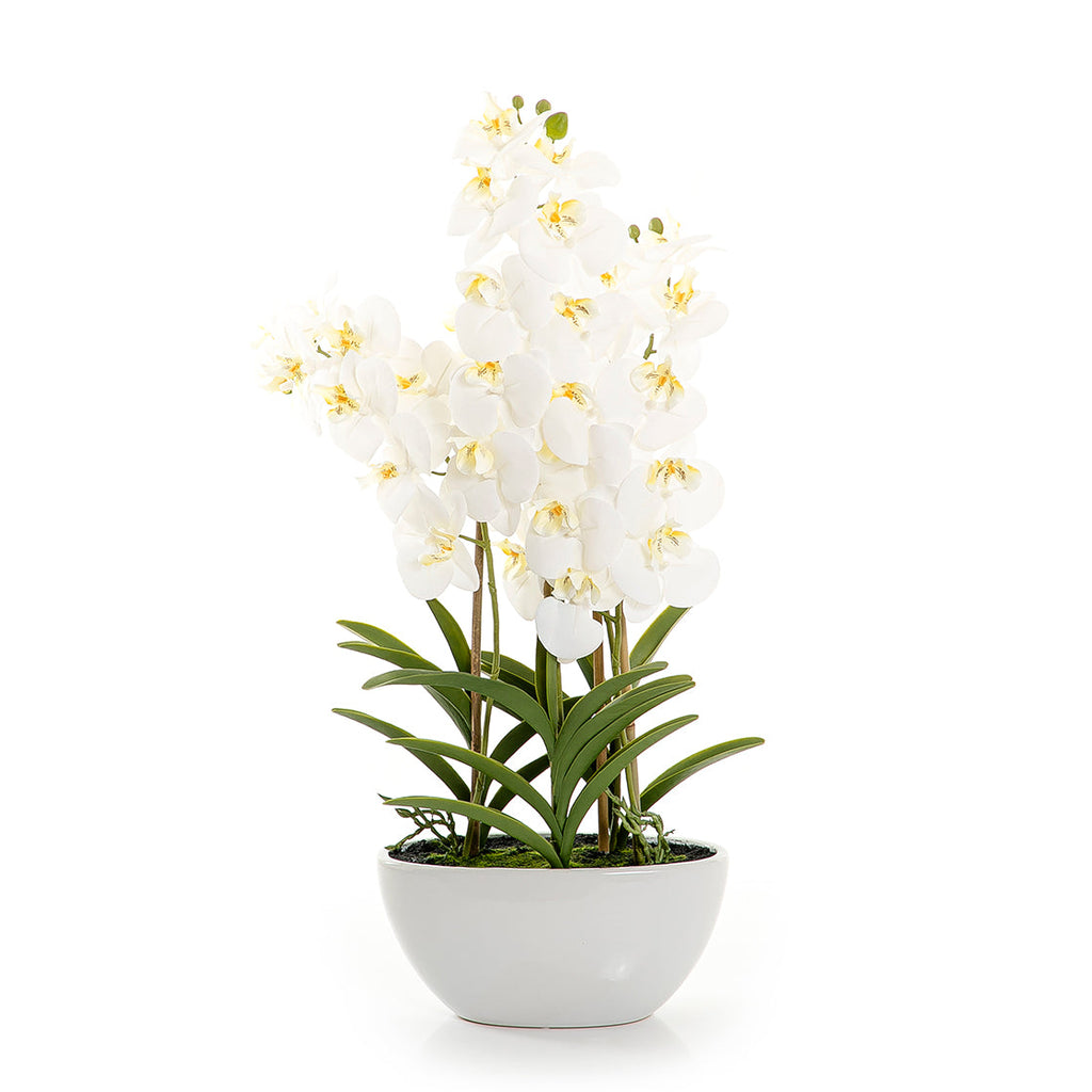 Artificial orchid