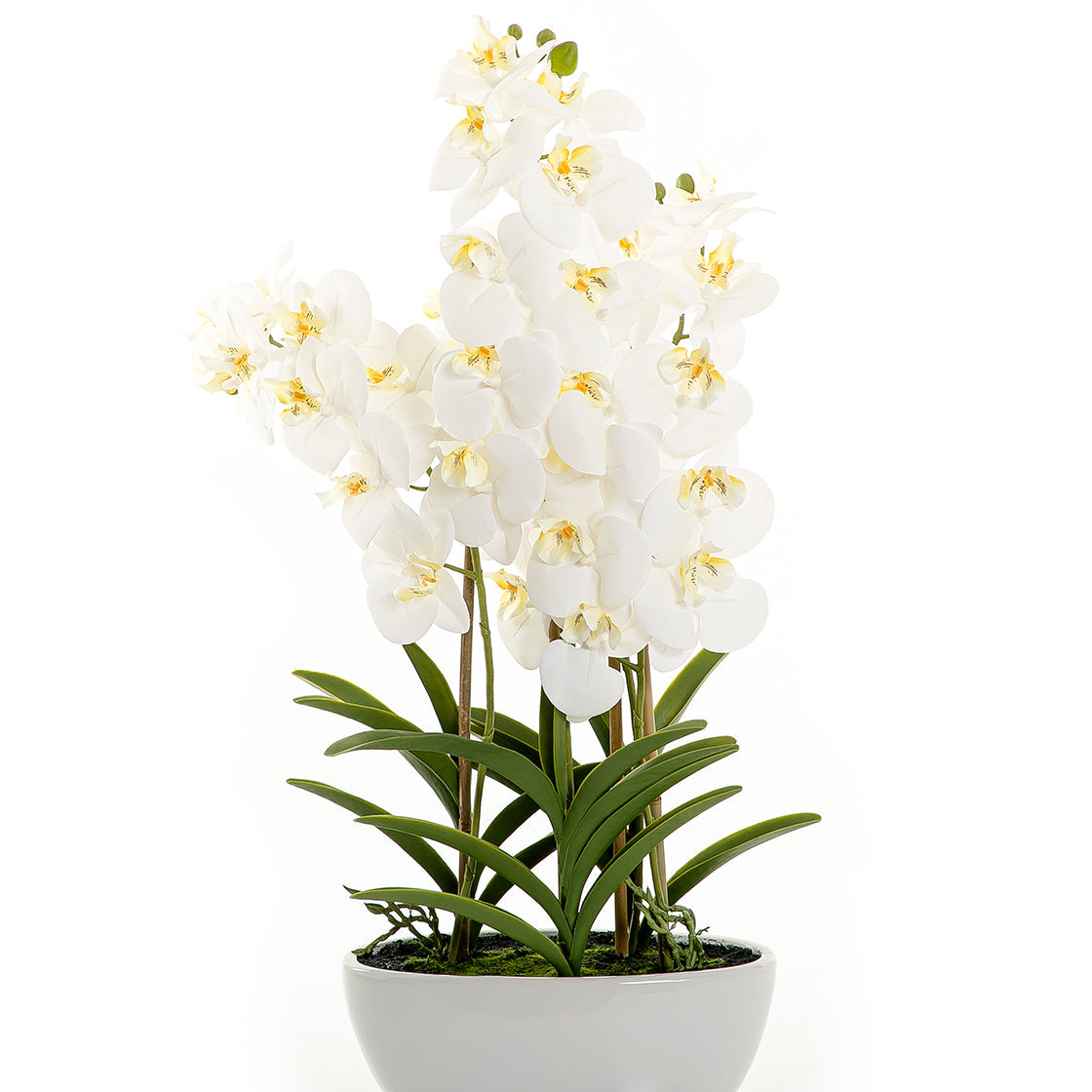 Artificial orchid
