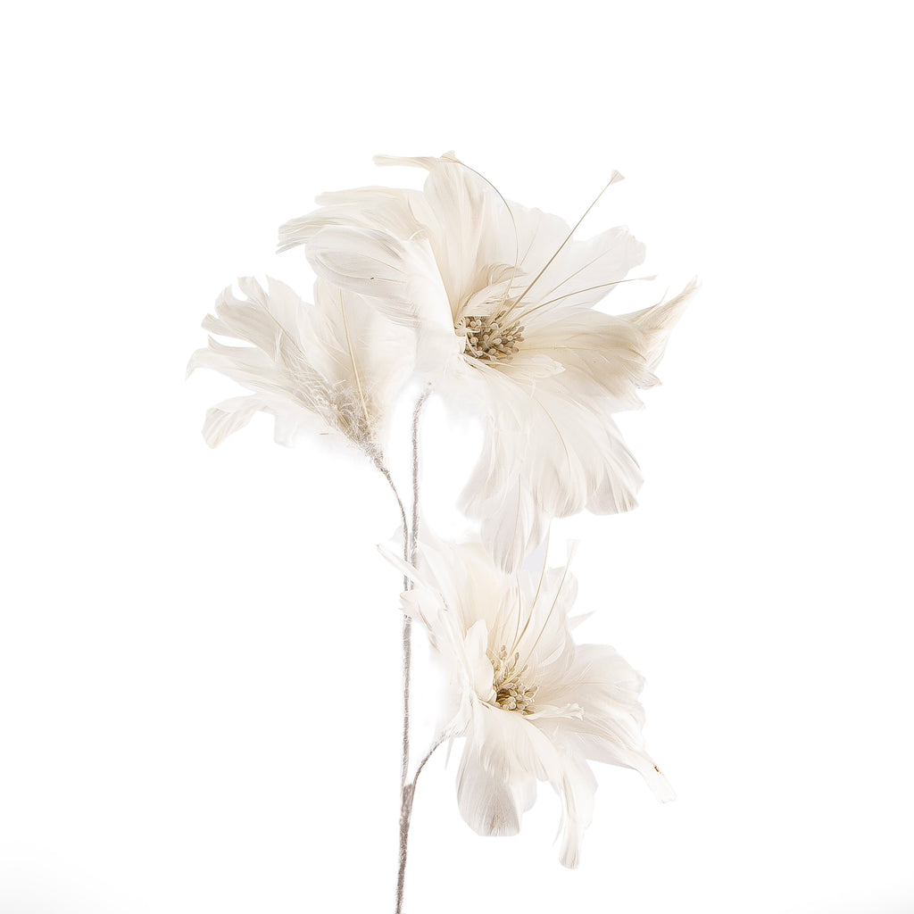 Home Accs 35003601 (5379662577829)