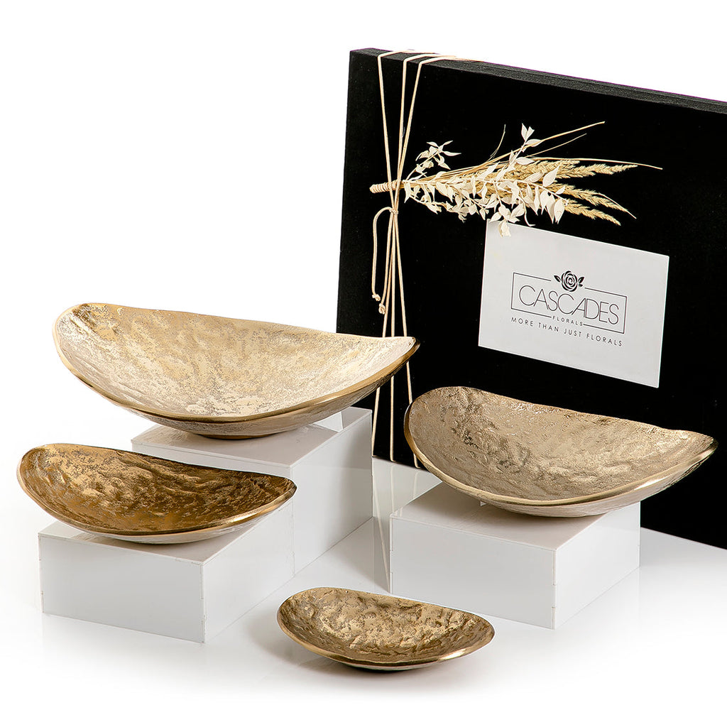 Set of 4 metal Plates with gift box