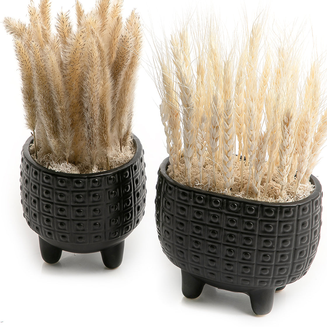 Set of dried flowers