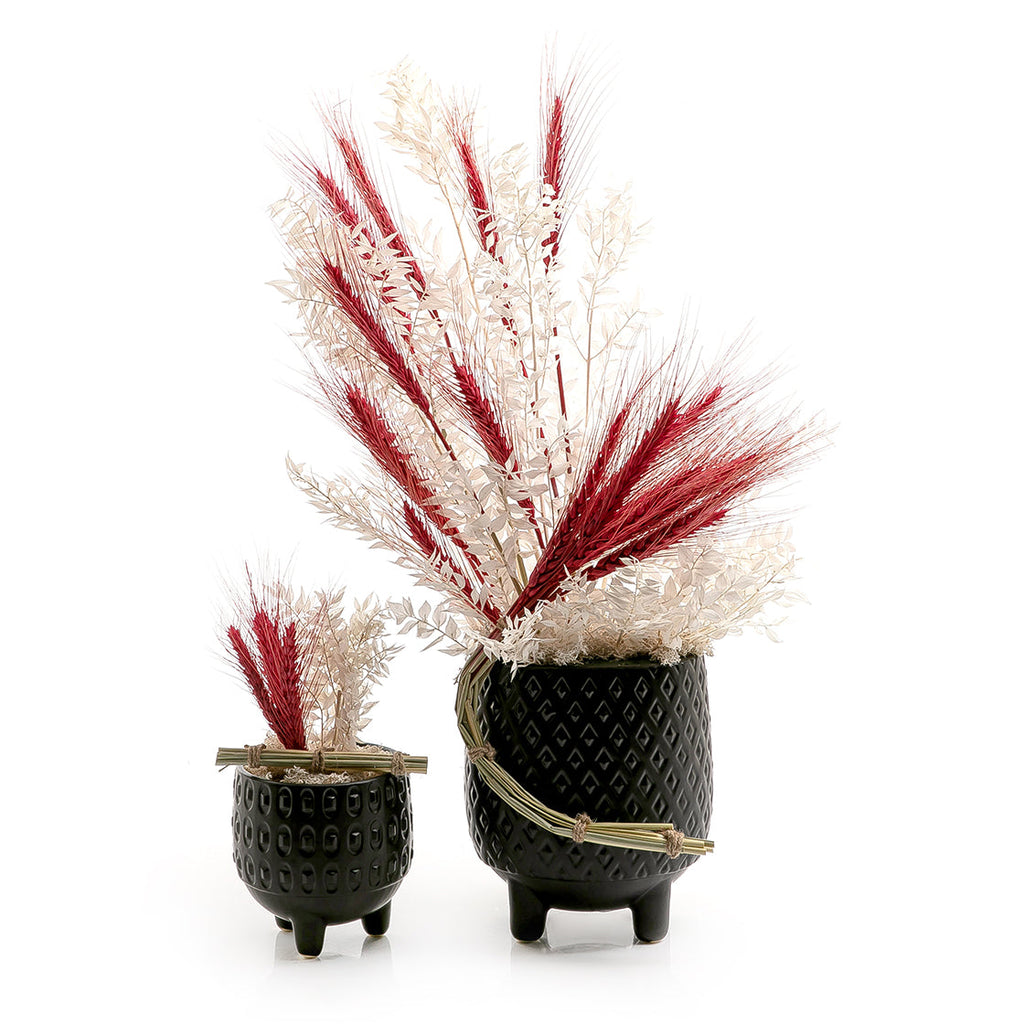 Set of dried flowers