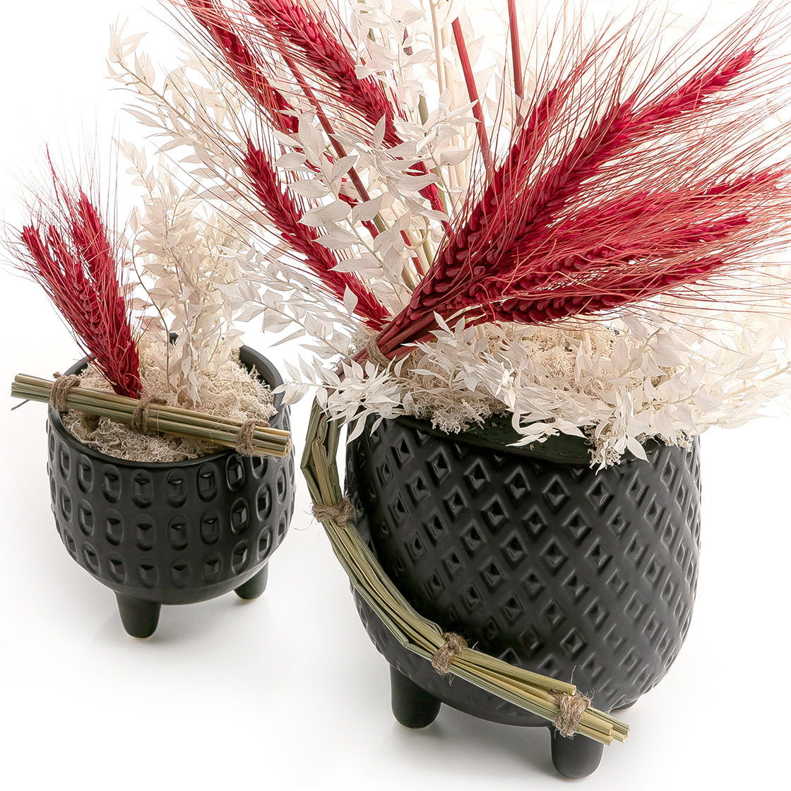 Set of dried flowers