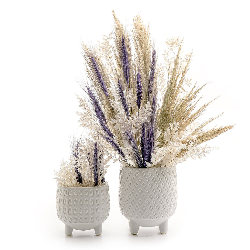 Set of dried flowers