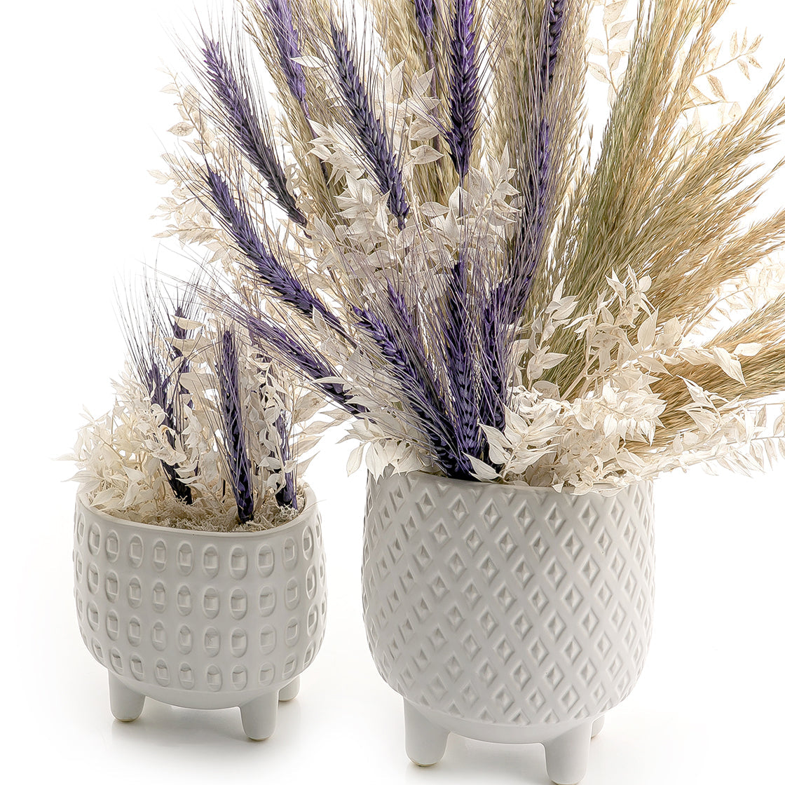 Set of dried flowers