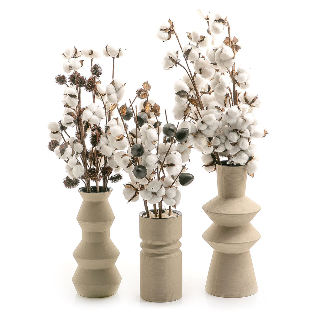 Set of dried flowers