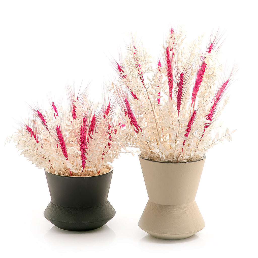 Set of dried flowers