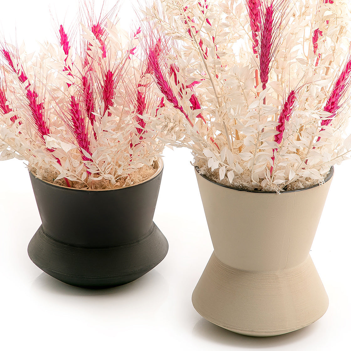 Set of dried flowers